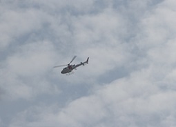 E7D_6861-20-1.jpg
