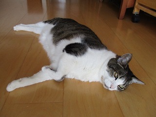 IMG_3305ss.jpg