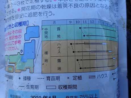 ソラマメ種まき 耕運機 葉山農園 11月初旬 暇人主婦の家庭菜園 楽天ブログ