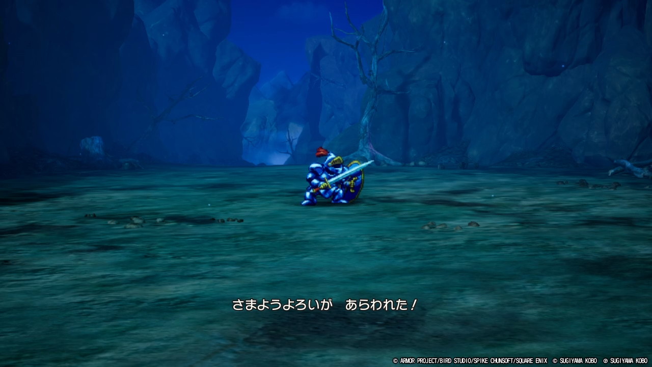 DQ3-029