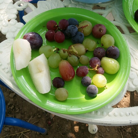20140923_095853_resize_20140923_215842.jpg