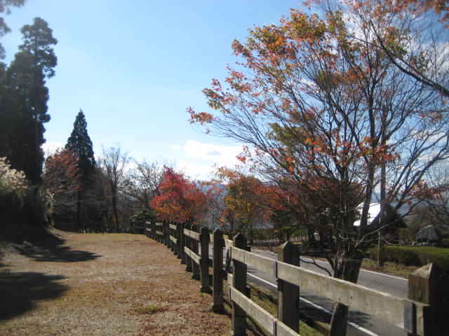 IMG_3790.JPG
