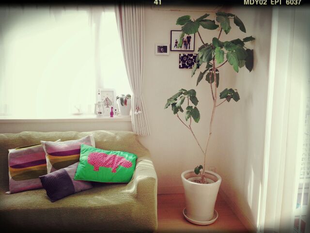 rblog-20140918091840-01.jpg
