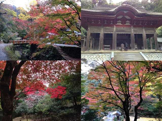 紅葉の名所 鰐淵寺 ホテルハーベストイン米子 スタッフブログ 楽天ブログ