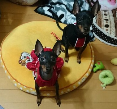 1402404703635.jpg