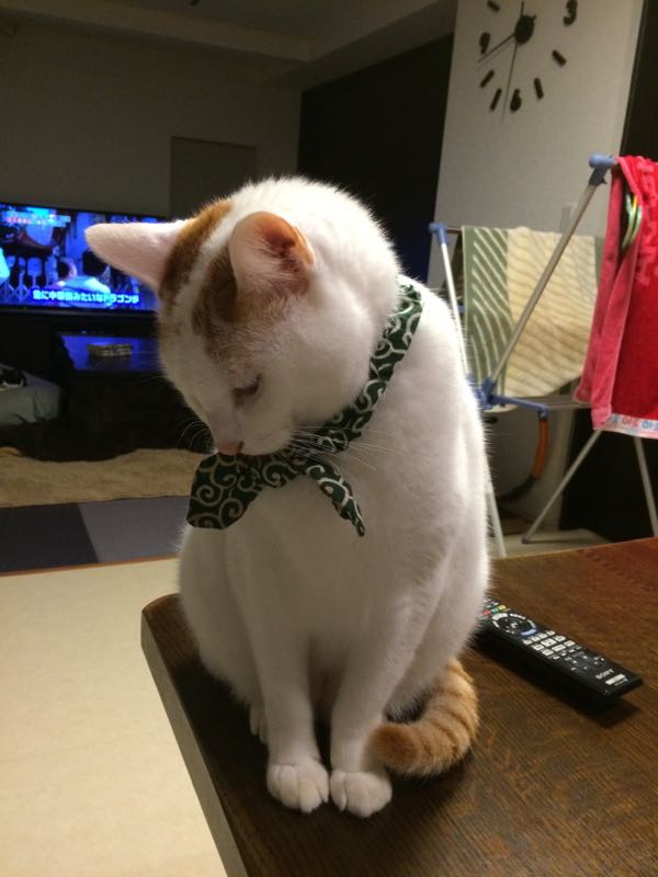 rblog-20141203062241-02.jpg