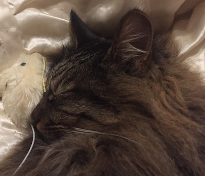 2016-12-25 01.06.32.jpg