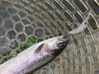 20140724_narago_02.jpg