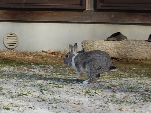 DSC_0138.JPG