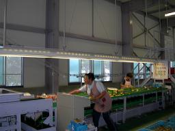 DSCN5843-w256.jpg