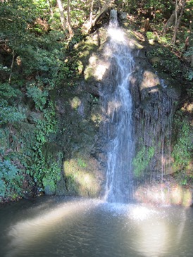 IMG_3088.JPG