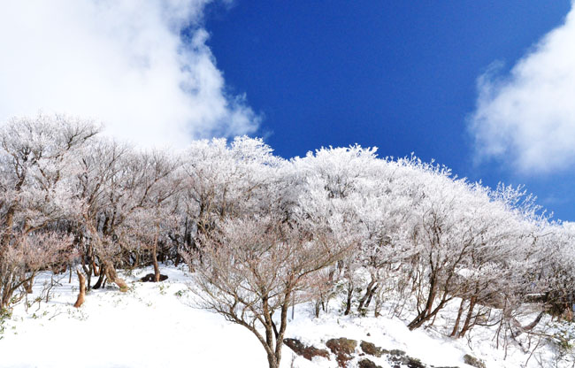 山３