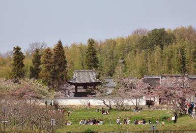 国分寺.jpg