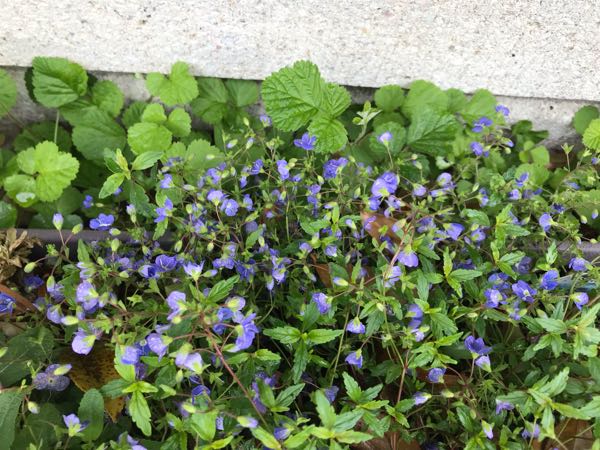 rblog-20190426181100-09.jpg