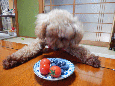こころ１２