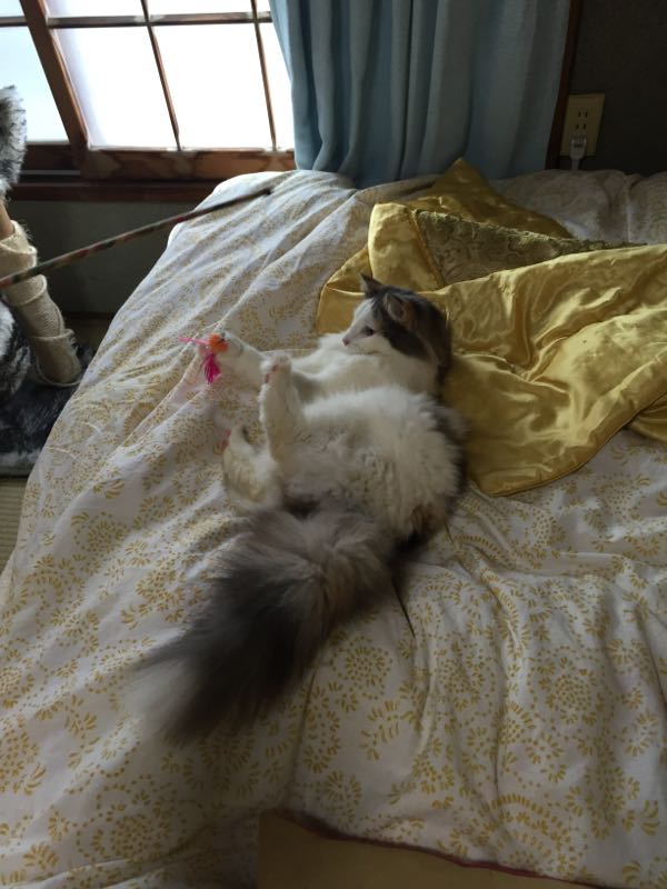 rblog-20160315091901-03.jpg