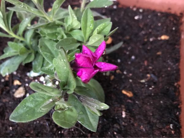 rblog-20180328191552-05.jpg