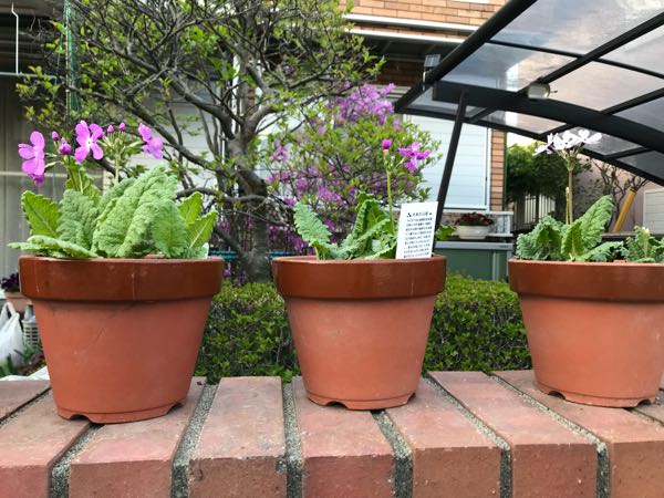 rblog-20180408180927-09.jpg