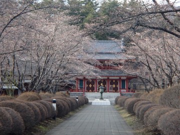 聖光寺130426