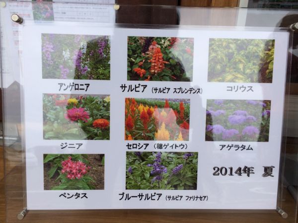 rblog-20140622210431-01.jpg