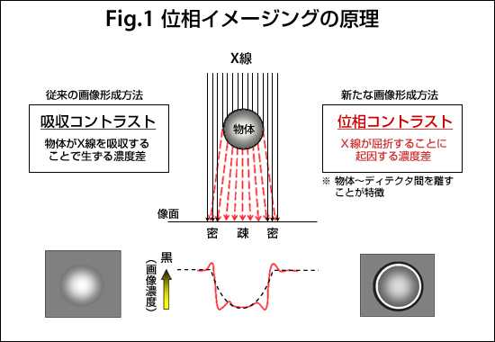 人気 加算的ラグ効果とは