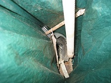 IMG_1584縮小 - コピー.jpg