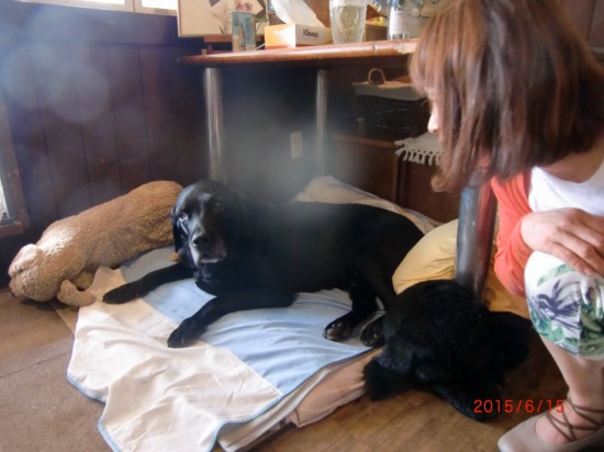 宇佐美海岸、渚のレストラン 010.jpg