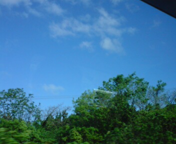 20120504083818.jpg新緑と青空.jpg