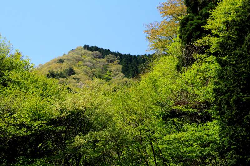 金剛山_003.jpg