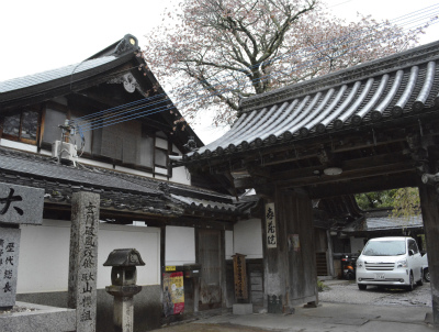 吉野14