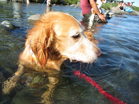2012-0826-21.jpg