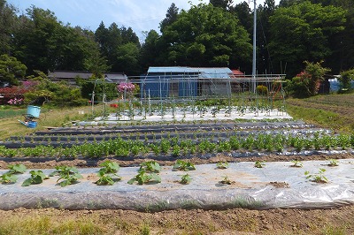 DSCF8080.jpg