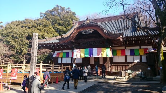 2016-01-31 09.54.01.jpg