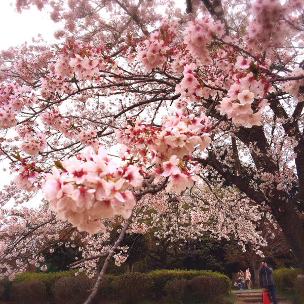 rblog-20140407123925-02.jpg