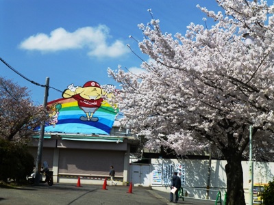 P1080439.JPG