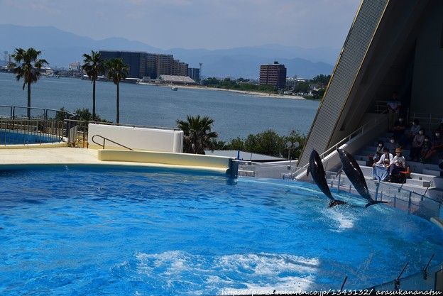 緊張: 自由落下で 30 メートルの高さから落ちることを考えたことがありますか?