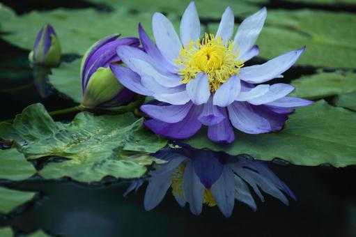 理生(りお)のブログ