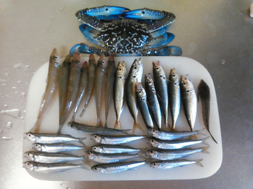 りんくう-20130929-3