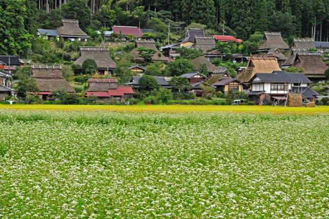 美山２