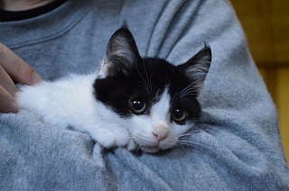 DSC_0505 (1024x681).jpg