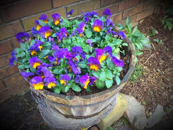 rblog-20160225215649-02.jpg