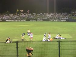 花火を観るマスコットたち