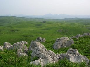 1198b.jpg
