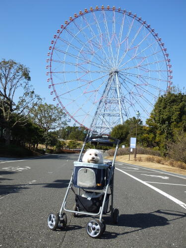 葛西臨海公園にて