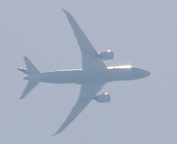 IMG_3578-1.jpg