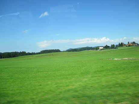 IMG_0266.jpg