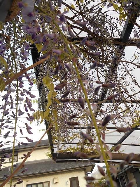 DSCN1572.JPG