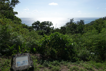 沖縄280.jpg