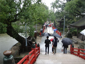 九州167.jpg