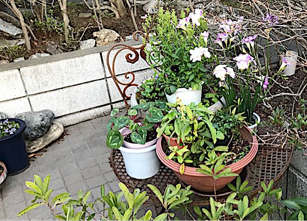 rblog-20180325191037-03.jpg